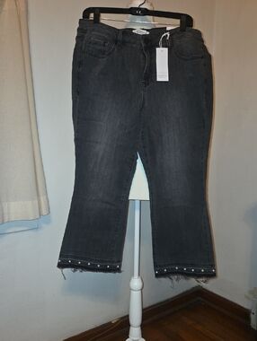 Lane Bryant Jeans